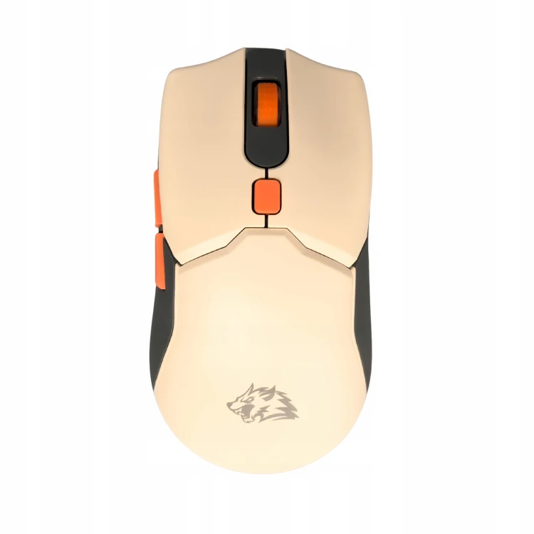 T96-SET-9.jpg