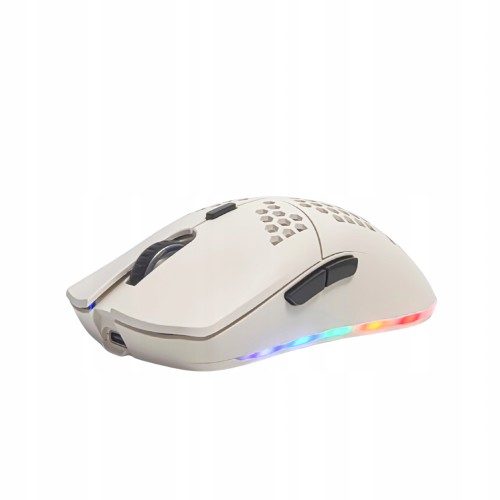 XYH80-W-1.jpg