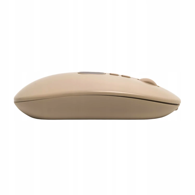 FW-X1-CREAM-4.jpg