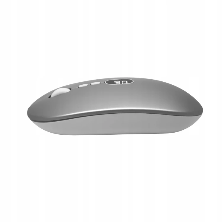 FW-X1-SILVER-4.jpg